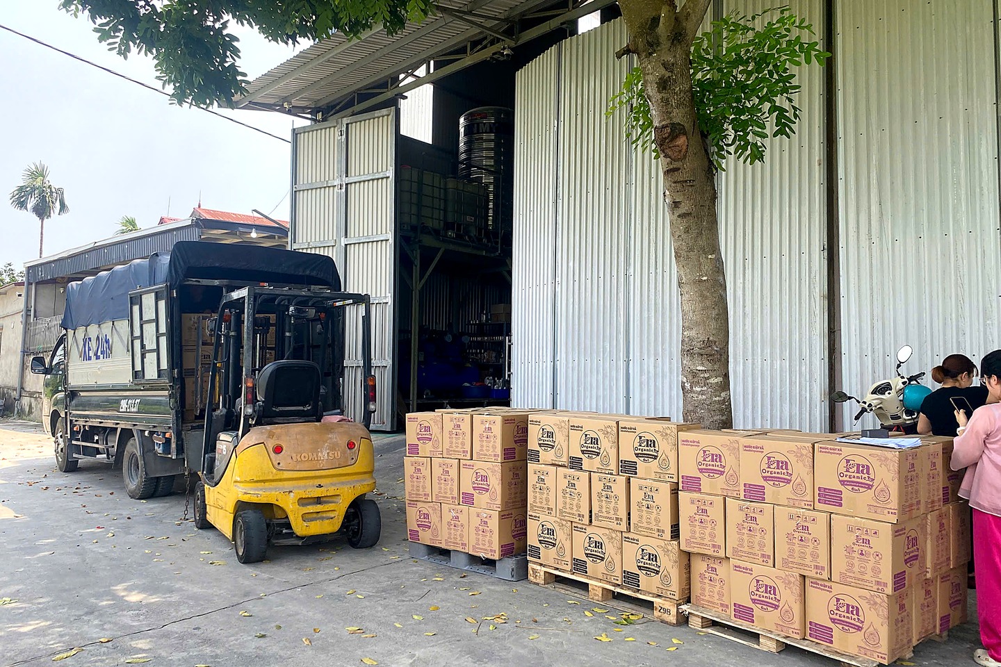 Hàng xếp pallet chuẩn bị lên xe