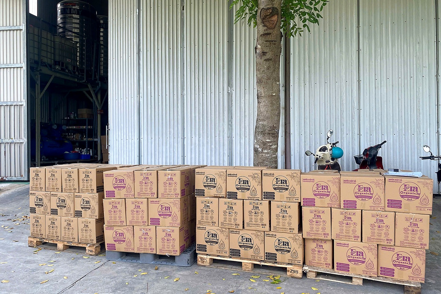Thành phẩm đóng thùng tại nhà máy
